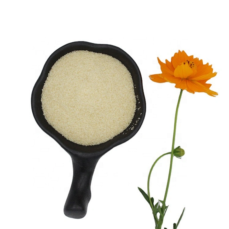 Factory Price Halal Grade Food Grade Gelatin Powder with best price